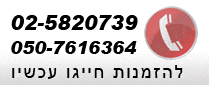 ריהוט עתיק בסגנון לואי